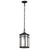 Nuvo Raiden Outdoor Hanging Lantern 1 Light Matte Black 60/5759